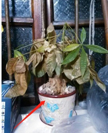 再节俭的主妇，家中这3样也要趁早扔，细菌堆积，家人难免会生病