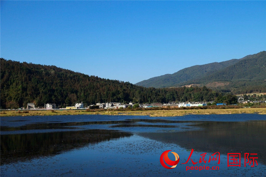 保护区|北海湿地保护区，一座神奇的“水上草原”