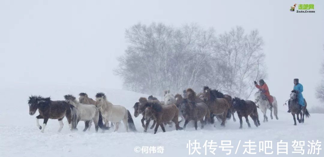 自驾|北上看雪，南下看花，这12个地方承包年末旅行