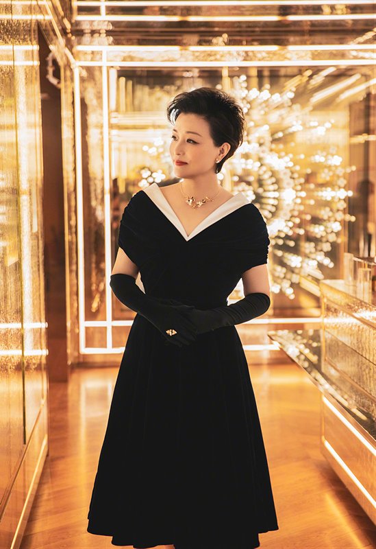 杨澜真是太有贵妇范了！穿黑裙搭丝绒手套优雅大气，气质十分出众