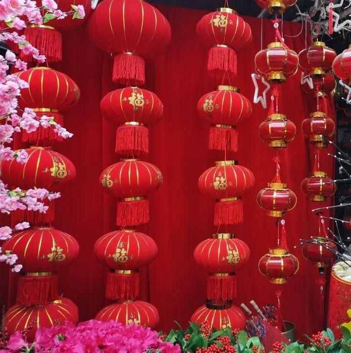 花市散发浓浓年味，这家店天天上新“应景”花！