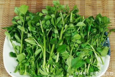 想长寿要会吃,坚持常吃三种食物,排毒杀菌,刮油清脂,营养瘦身