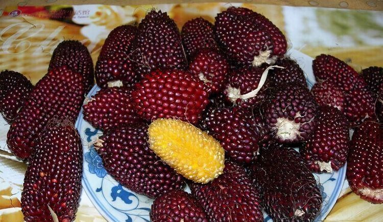 益胃|女性害怕老太快,可以多吃3种食物,排毒养颜、滋补身体!