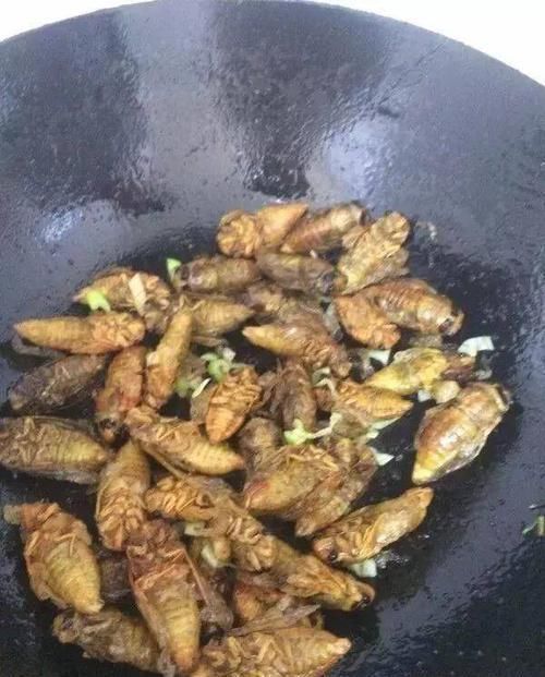 好吃|继皮皮虾后,又一“宵夜霸主”产生了,网友虽长得丑但却好吃