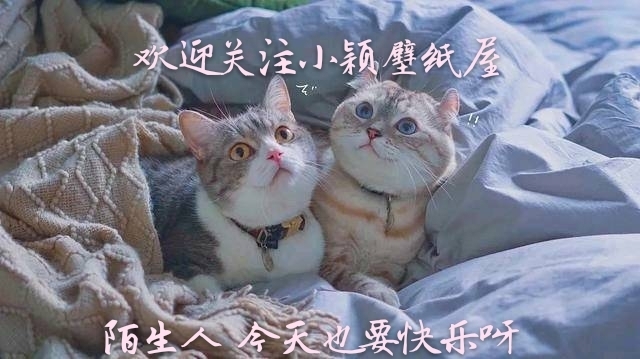 小穎|神仙·男生頭像丨留給世界的只能是背影