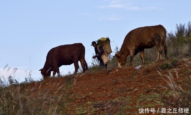 神奇的土地，浓烈的色彩，完美的线条，东川红土地