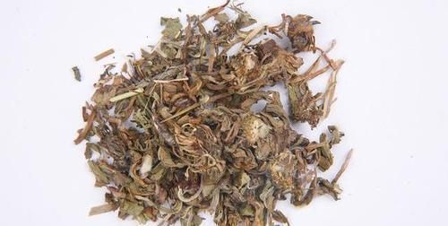 日常生活中|蒲公英加它,堪称肝细胞“修复器”,养肝排毒,肝硬化或知难而退