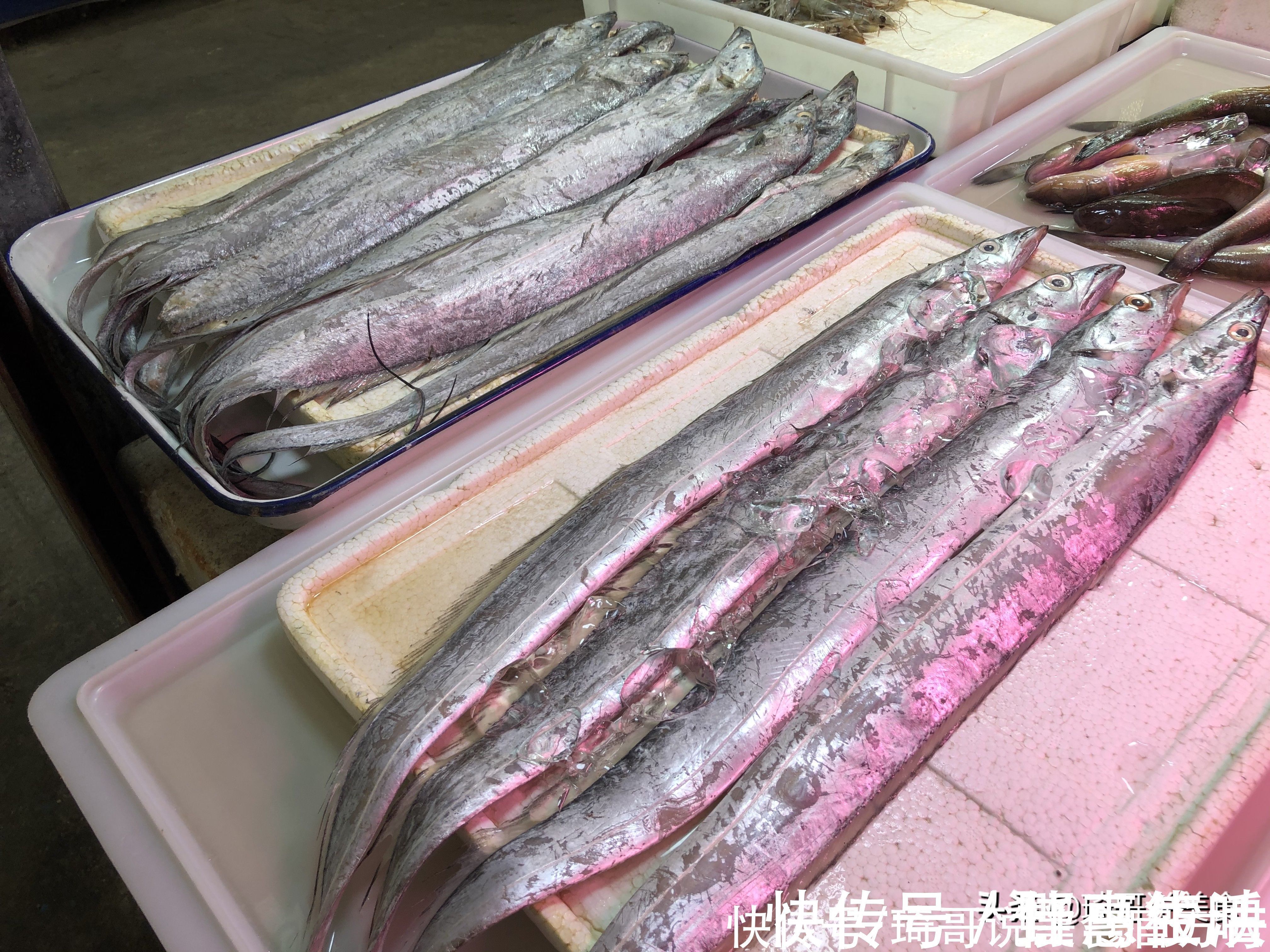 黑眼睛|买带鱼,黑眼睛和黄眼睛哪种好吃?老渔民教3招,带鱼新鲜味道正