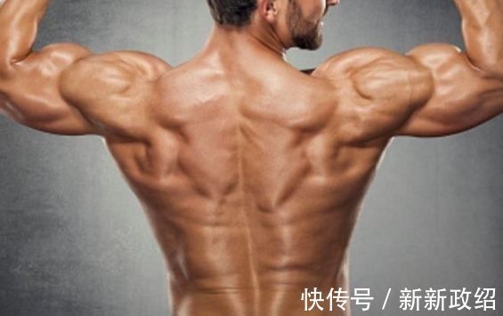 背部|熟练掌握这2个动作,宽大且厚实的背部肌肉,你也能够拥有