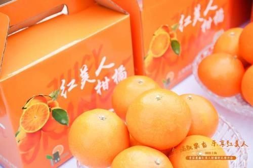 吃货们看过来!橘界的“爱马仕”上市了,23元一个“红美人”柑橘你买吗?