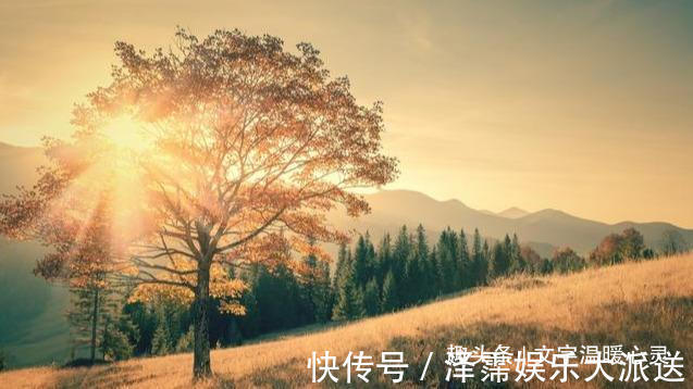 苍天不饶|人在做,天在看,因果有轮回,苍天饶过谁!(再忙都要看)