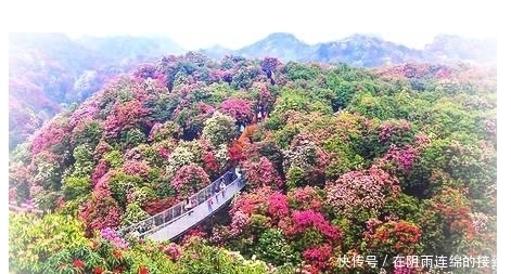 贵州旅游十大景点排名，贵州最值得去的10个景点，网友们在等啥