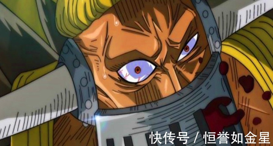 卡塔库里|海贼王三灾对抗三将星，孰强孰弱网友只有卡塔库里能一战