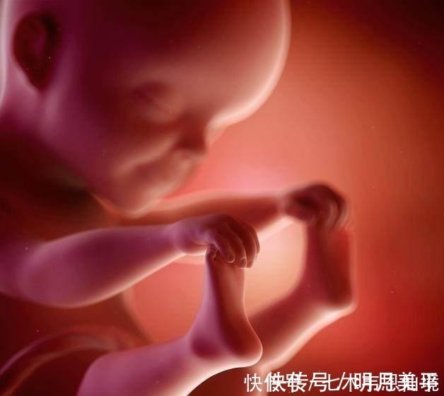 怀孕|四维做到一半，小家伙竟然在妈妈腹中干“坏事”，连医生都乐了