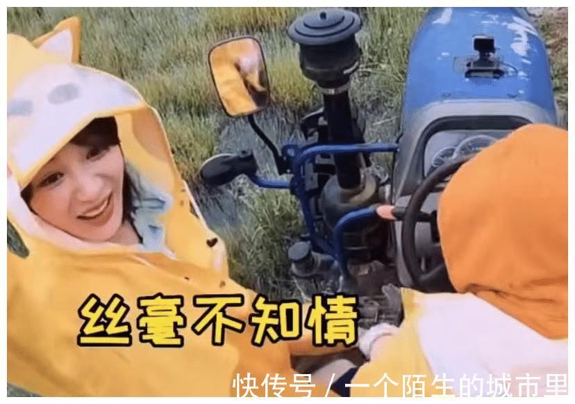 太離譜！《奔跑吧》《向往的生活》淪為陪跑，這款慢綜藝才是黑馬