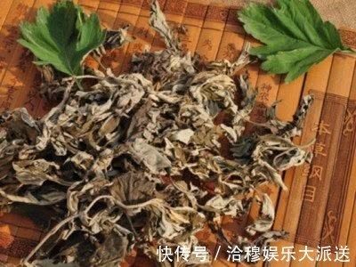 脐风|艾草不要丢，烧成灰放肚脐可以治疗此病，转发分享是美德功德无量