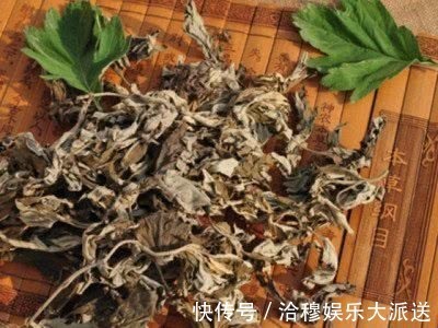 脐风|艾草不要丢,烧成灰放肚脐可以治疗此病,转发分享是美德功德无量