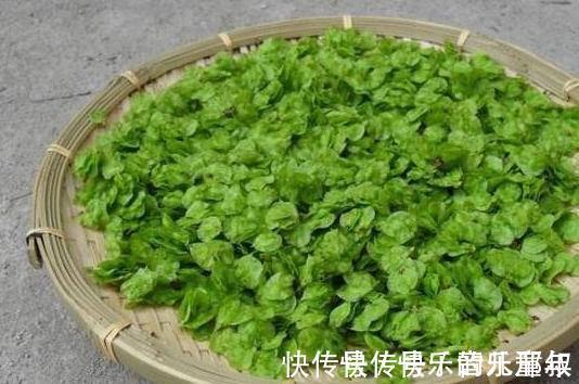 秋天|人到中年,不妨坚持吃三种食物,排毒抗衰,润肠通便,增强抵抗力