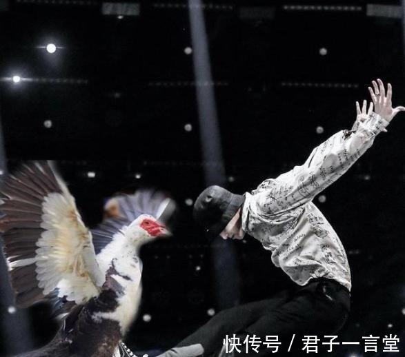 szd|張藝興與彩燈的相愛相殺,粉絲亂嗑cp張燈結彩是真的