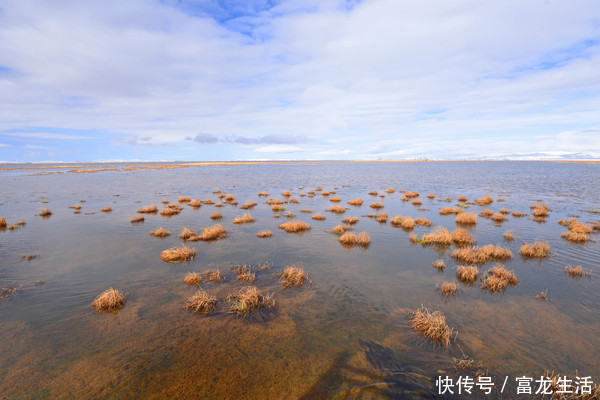 若尔盖花湖不飞花，却是中国最美的高寒湿地