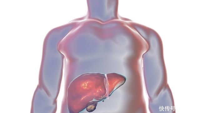 肺部|46—59岁养生黄金期，防好两种病，做到三处净，助你长寿十年