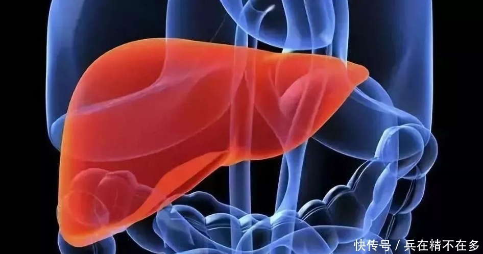  86岁退休院士：肝脏变硬之前，或会有4个症状，想要肝好，记住3点