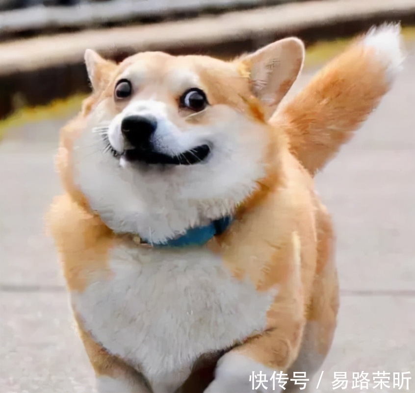 户口本|都是第一次买房,谁还没点不清楚的事情呢?盘点一下关于买房人最常见的问题!