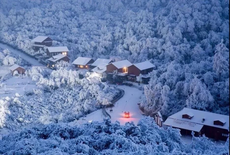 1小时飙拢！去重庆看雪！云海雪山森林，下山还能泡温泉！