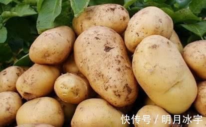 心脑血管病|高血压不要怕, 这些食物每天吃一点, 你的血压一天会比一天低