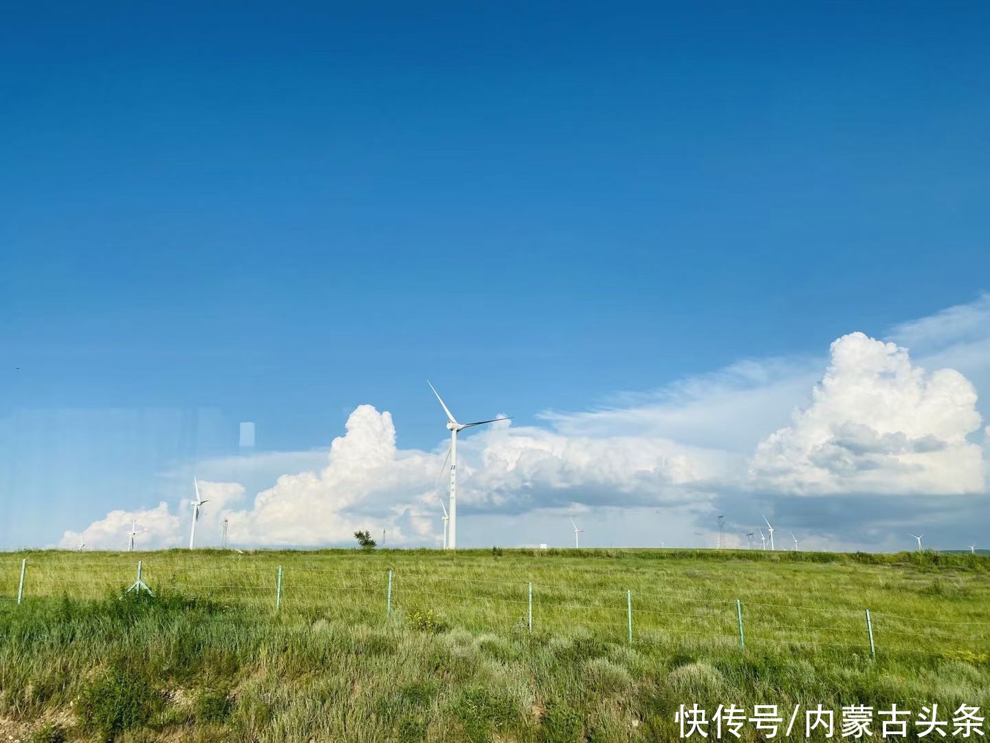 浑善达克沙地|乘着越野车，打马过草原追日出、赶日落