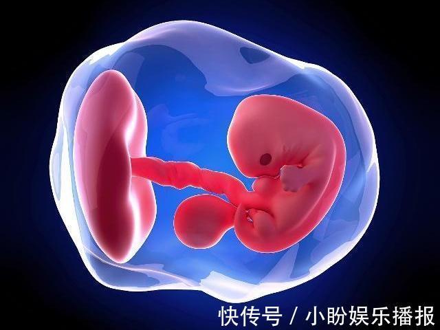 怀孕|孕期,总是担心胎儿发育其实做好3件事,畸形没那么容易发生