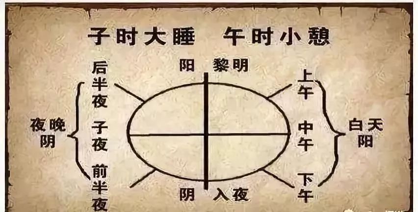 通阳|阳气产生于脾，根于肾，萌芽于肝！补阳方法大全在这里！