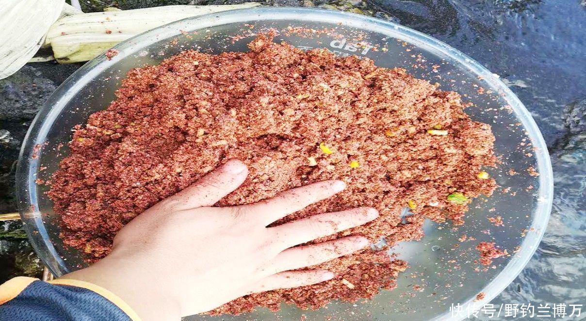  钓鱼|同样都是钓鱼，为何别人比你钓得多，秘密在这里