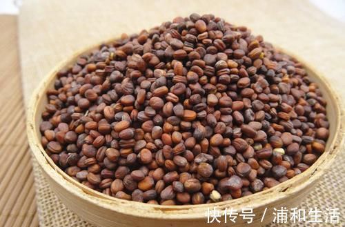清痰|一种菜种子,顺脾胃积聚之气,从根源清痰如神助,减脂、压,消斑