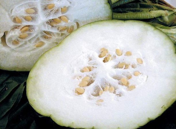 冷豆腐|4种食物能“吸走”脂肪,每天坚持吃一点,轻松瘦出“小蛮腰”