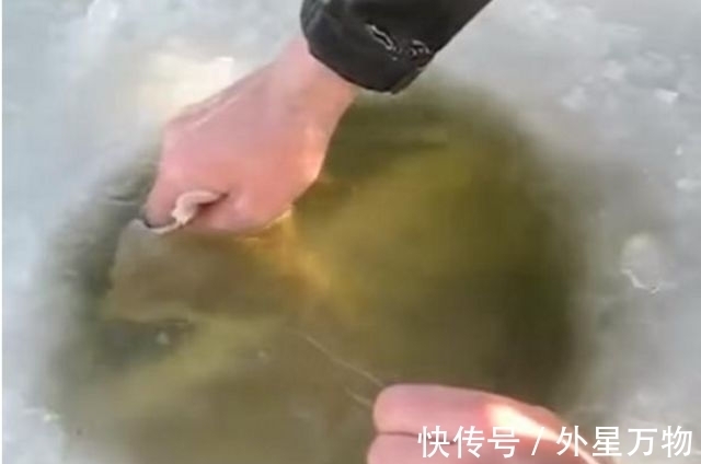 冰面|奇闻:男子冰面上凿了一个洞,从里面拉出来的东西够买辆兰博基尼