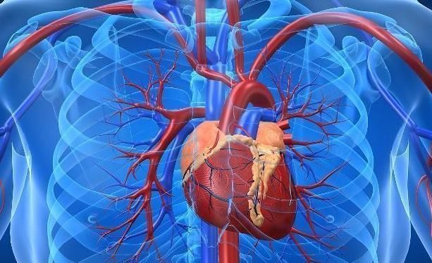 健康|血管洗个澡,健康活到老,不妨每天“洗”1次,早知早受益