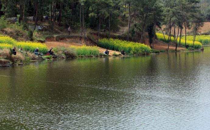 夏季钓鱼,就选这4个天气出钓,鱼胃口大增,轻轻松松就能爆户