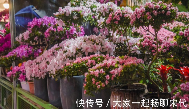 如果不是万不得已，3种花年后再买，省钱又好养