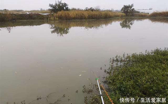 冬季|冬季钓鲫鱼,5宜5不宜!套路不正确,再好的饵料都没用