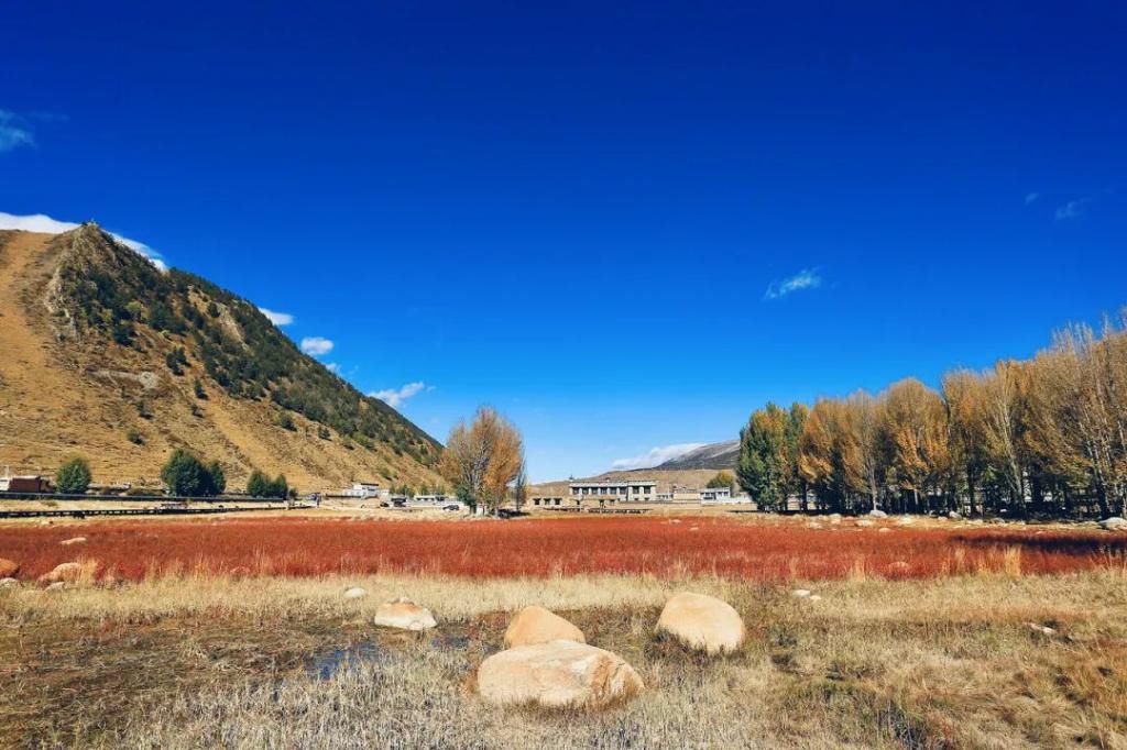 高原|高原有毒，你会上瘾！勇闯稻城亚丁，人生第一次看到雪山......