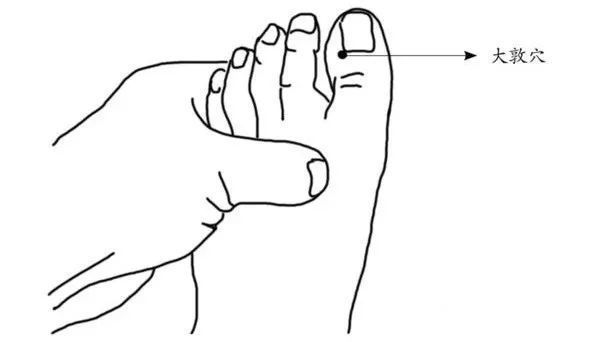 菊花|养肝护肝，这4样泡水不比枸杞差！每天一杯，肝会越来越好