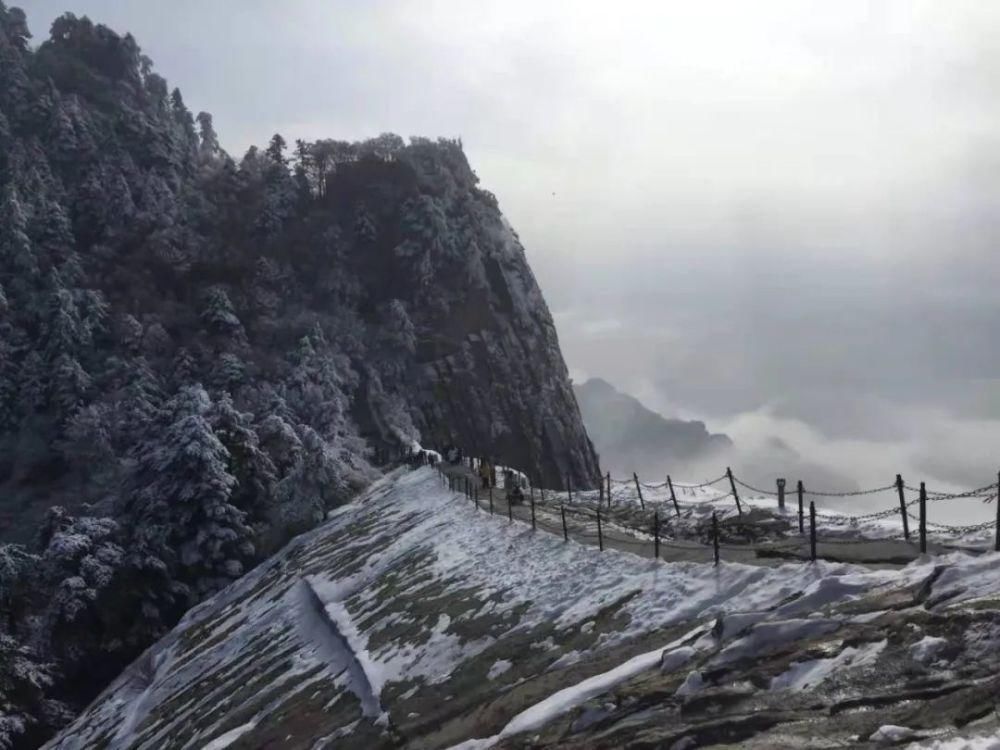  故事|敲黑板！“雪的故事”征文活动开始啦~~