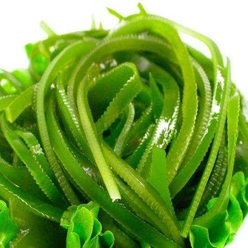 食物|记住这几种食物不会发胖,还能刮油清肠!