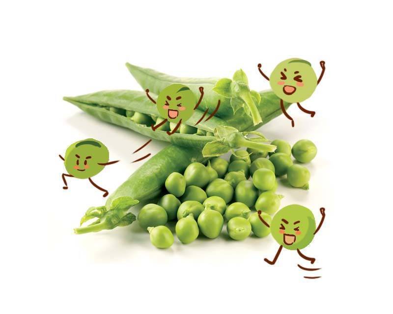 降血糖|新研究:吃饼干就能治疗糖尿病?避免并发症,糖友还需做好3件事