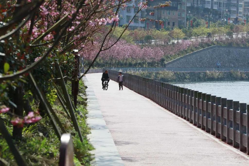 面孔|锦屏春意喜人，春色美如画