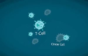 免疫力是世界上最好的医生，别让免疫随着年纪老去！