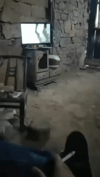 |搞笑GIF:这刁孩子,没啥你要吃啥