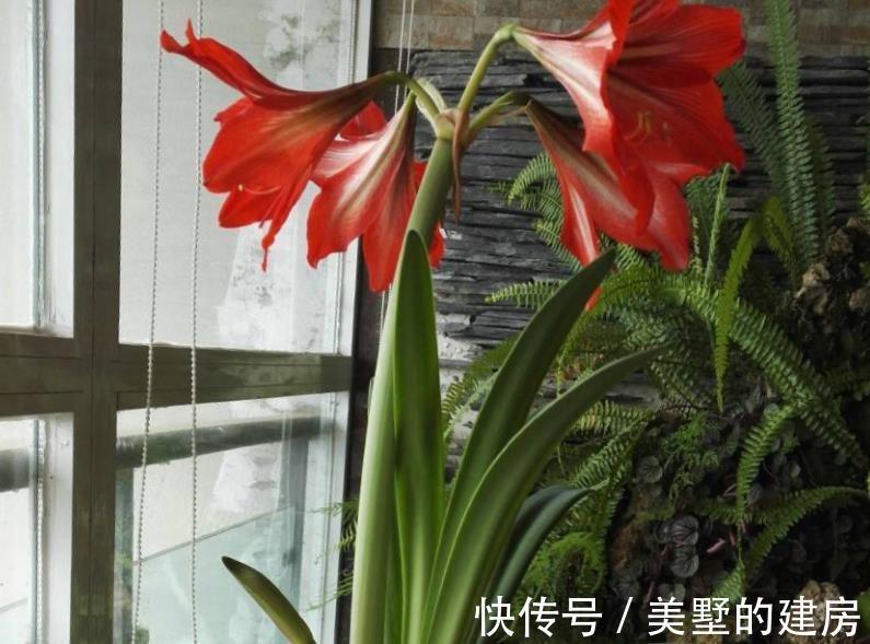 养花|于养花人而言,空油桶是什么?