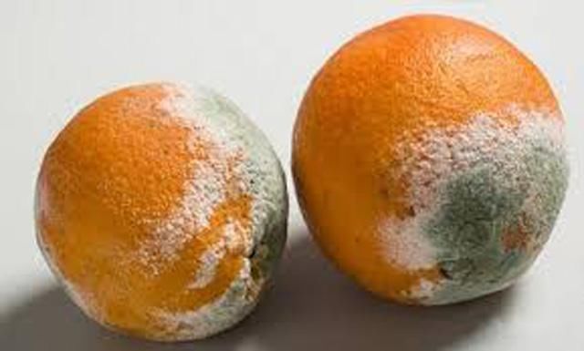 多喝|想养肝的人，建议：少碰“三物”，多喝“二水”